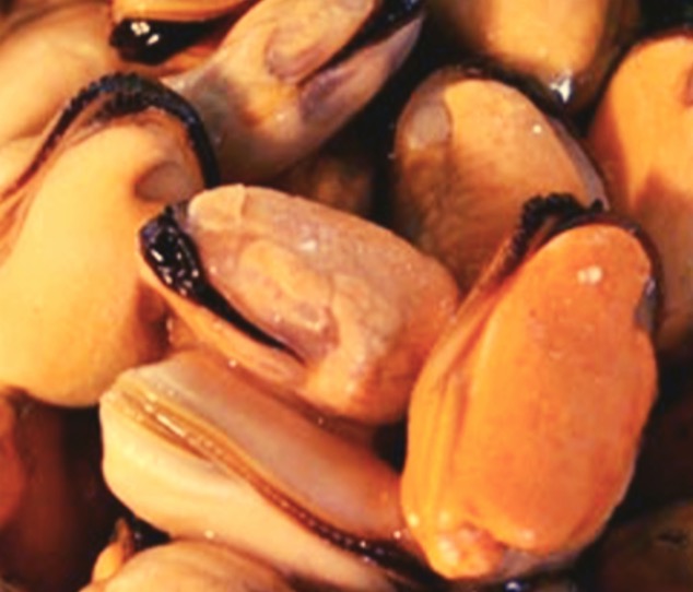 Choritos